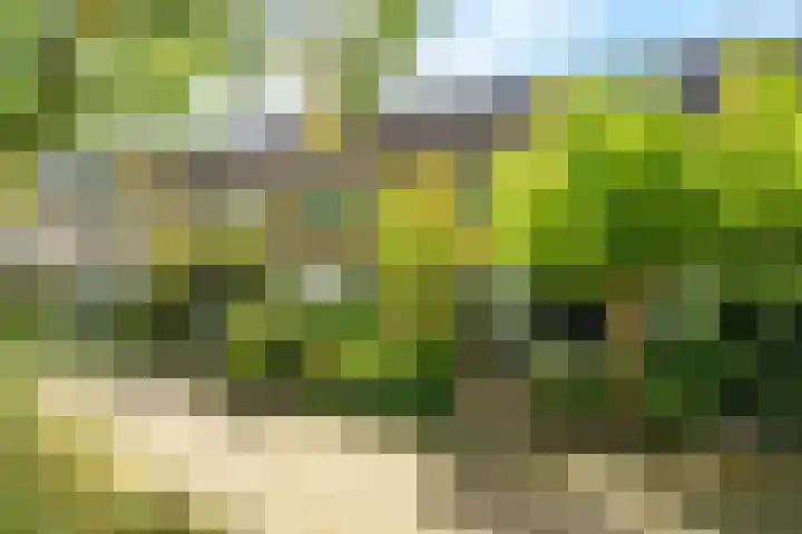 Crosestein 3519 Zeist thumbnail 23