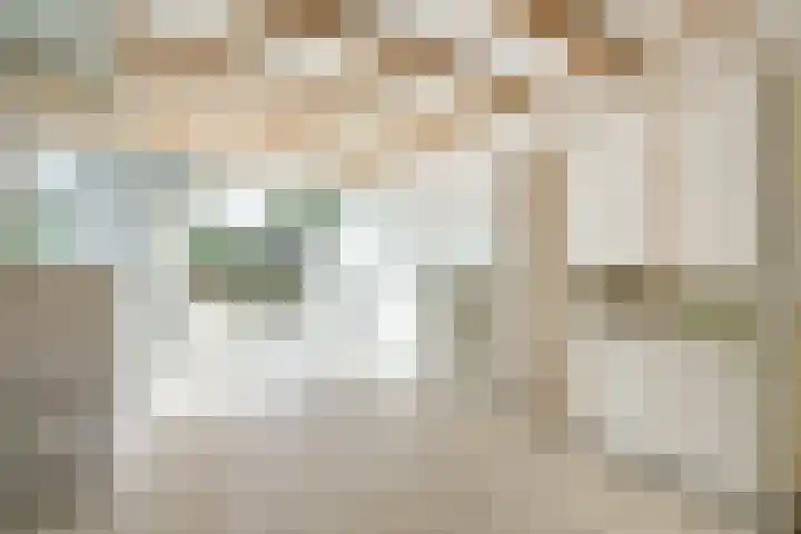 Crosestein 3519 Zeist thumbnail 6