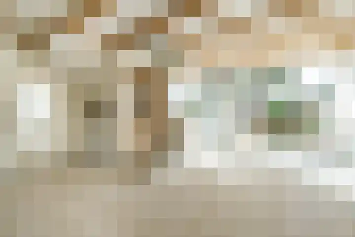 Crosestein 3519 Zeist thumbnail 7