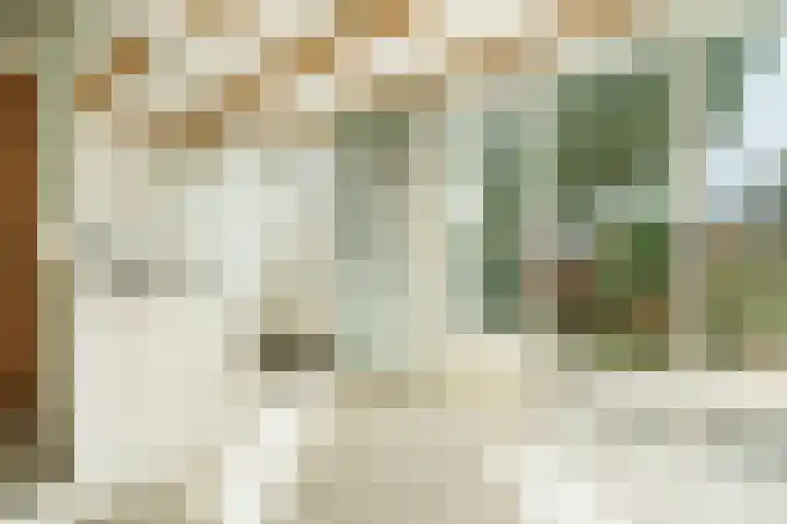 Crosestein 3519 Zeist thumbnail 8