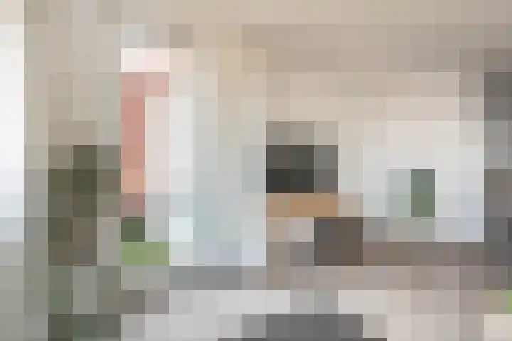Crossleystraat 27 Haarlem thumbnail 7