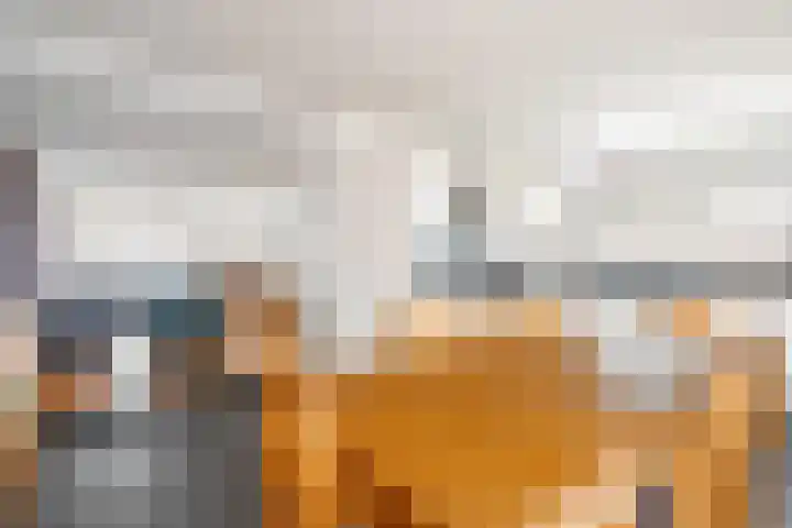 Crostolostraat 2 Stein thumbnail 8