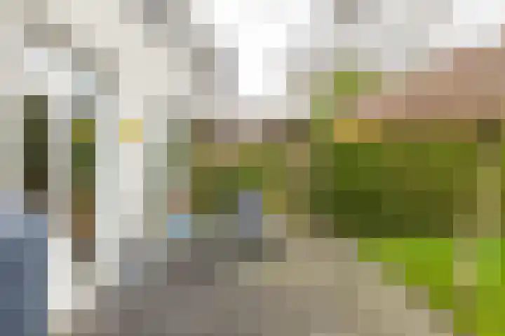 Crouwelstraat 14 Groningen thumbnail 34