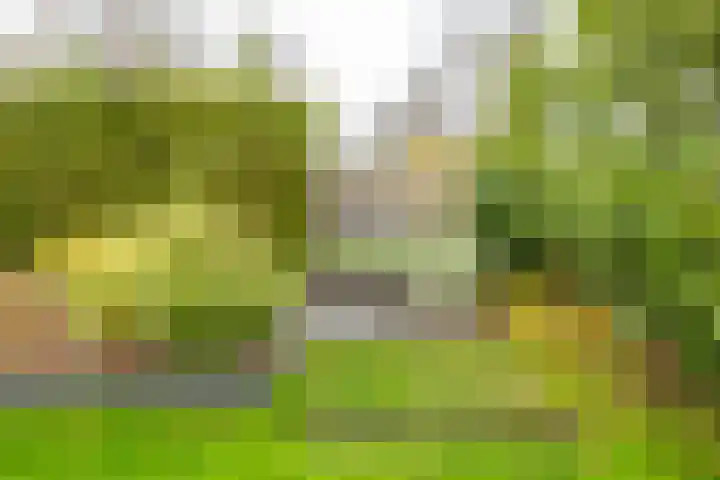 Crouwelstraat 14 Groningen thumbnail 35