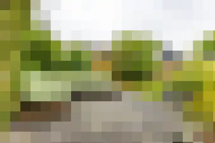 Crouwelstraat 14 Groningen thumbnail 36