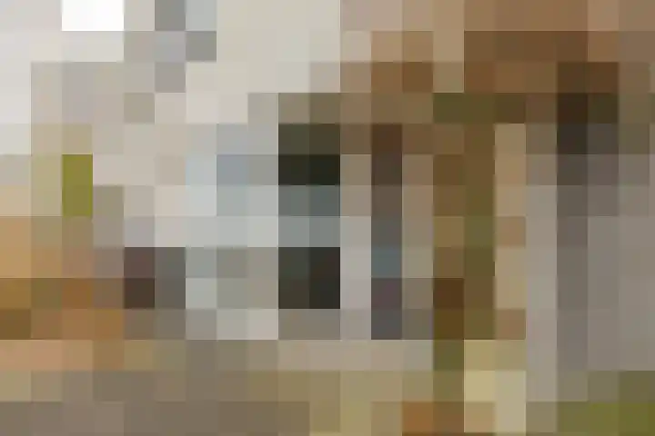 Crouwelstraat 14 Groningen thumbnail 4