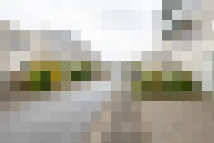 Crouwelstraat 14 Groningen thumbnail 40