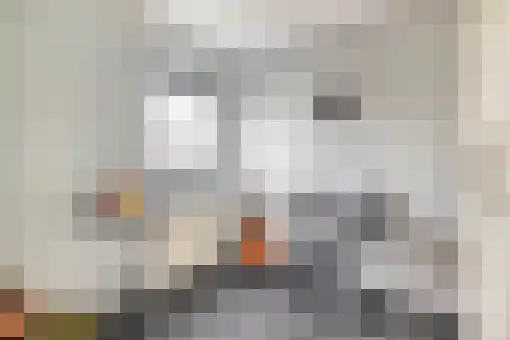 Crouwelstraat 25 Groningen thumbnail 36