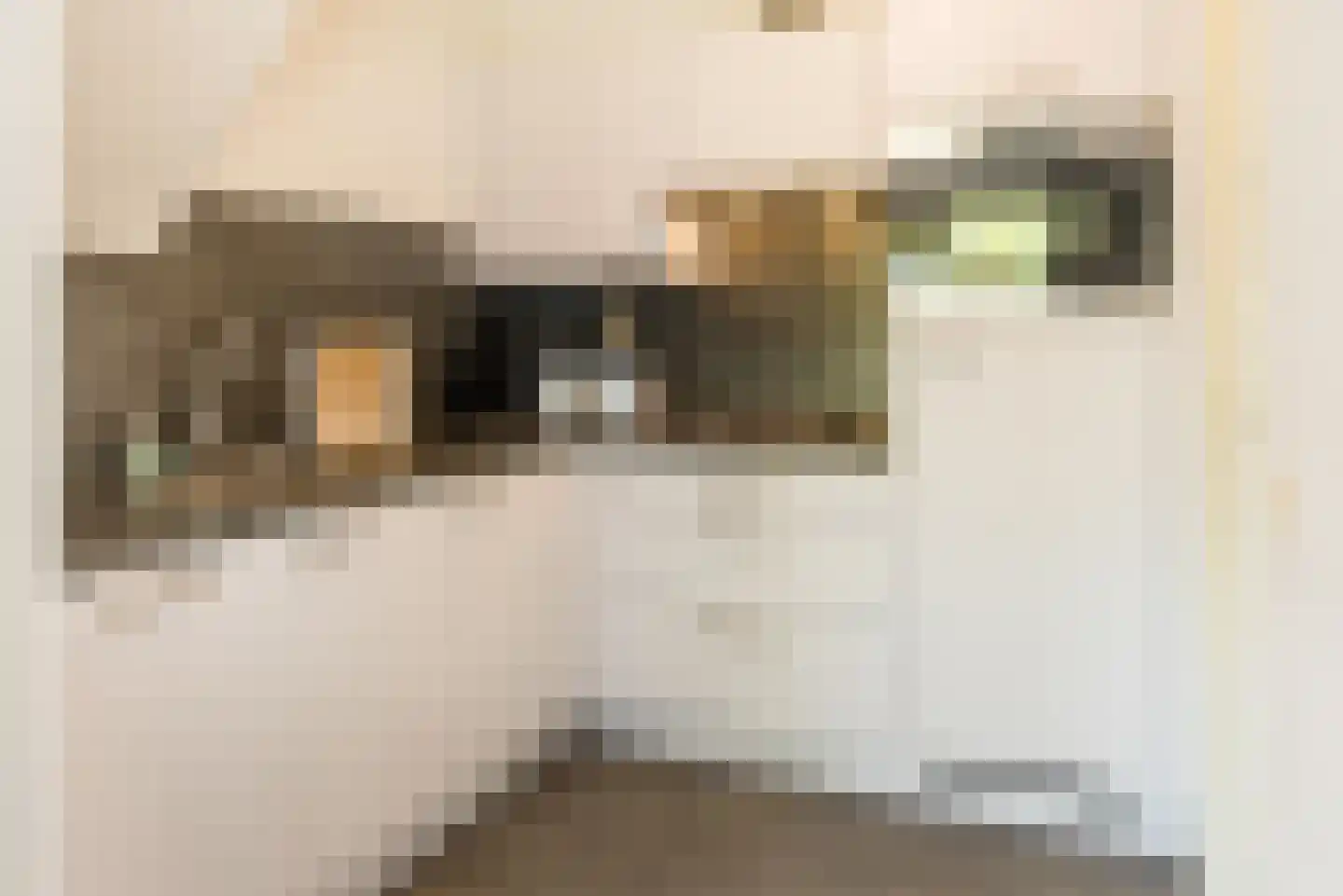 Crox Houcke 30 Nieuwvliet thumbnail 13