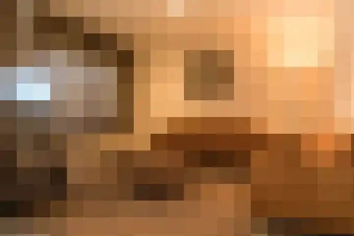 Crox Houcke 58 Nieuwvliet thumbnail 5