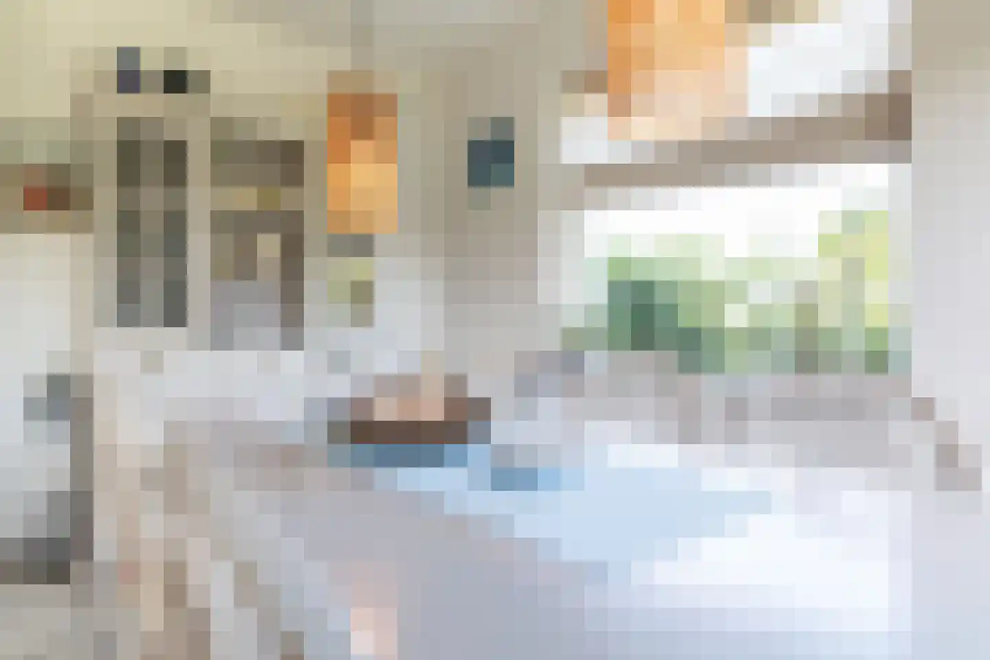 Crox Houcke 71 Nieuwvliet thumbnail 11