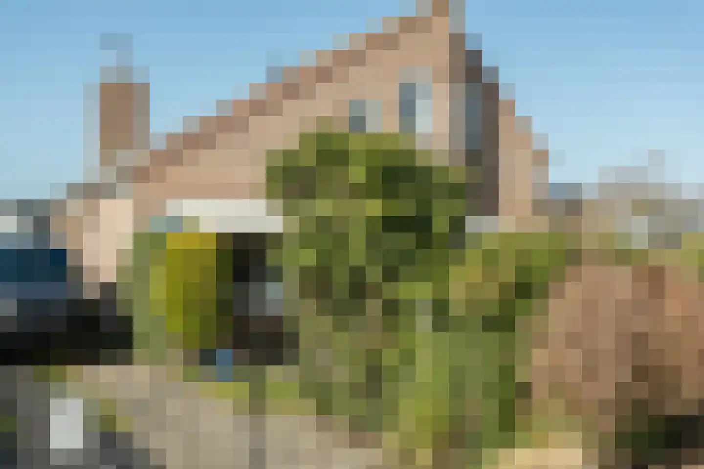 Crox Houcke 71 Nieuwvliet thumbnail 29