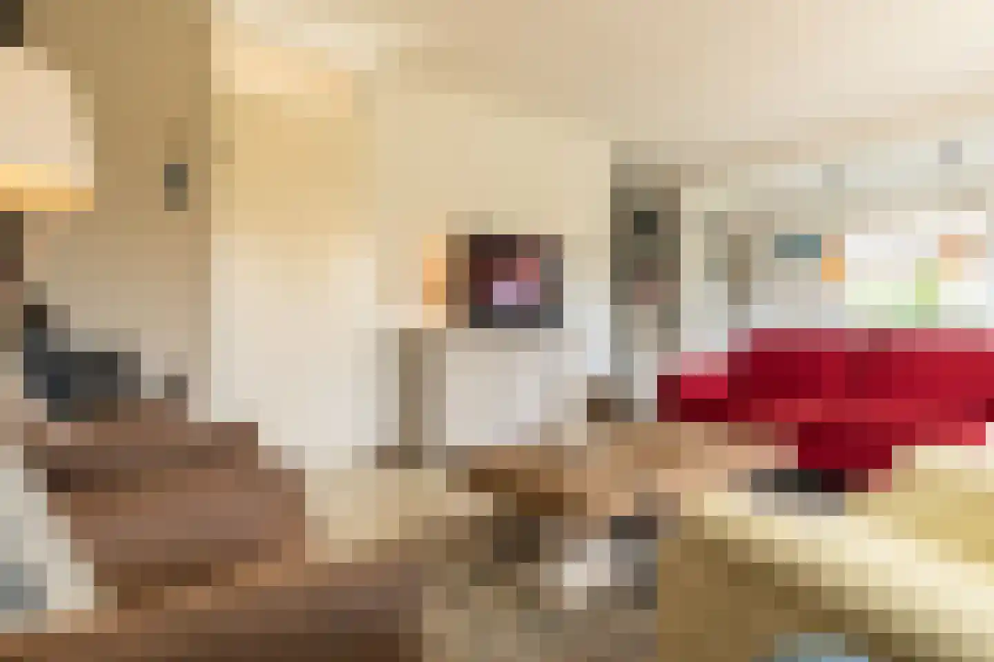 Crox Houcke 71 Nieuwvliet thumbnail 7