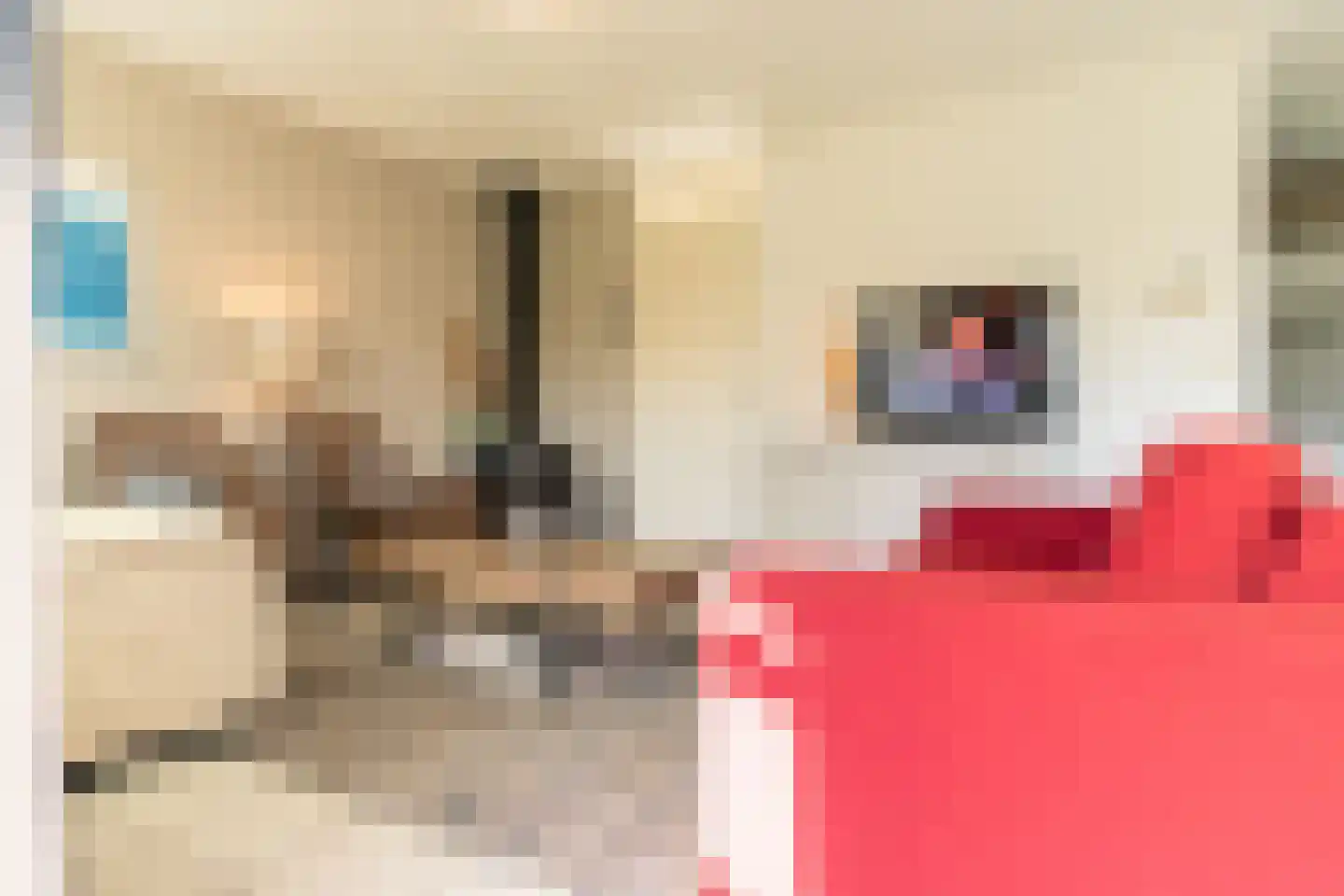 Crox Houcke 71 Nieuwvliet thumbnail 8