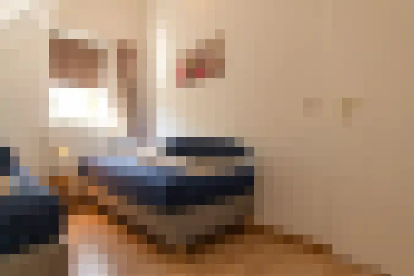 Crox Houcke 81 Nieuwvliet thumbnail 23