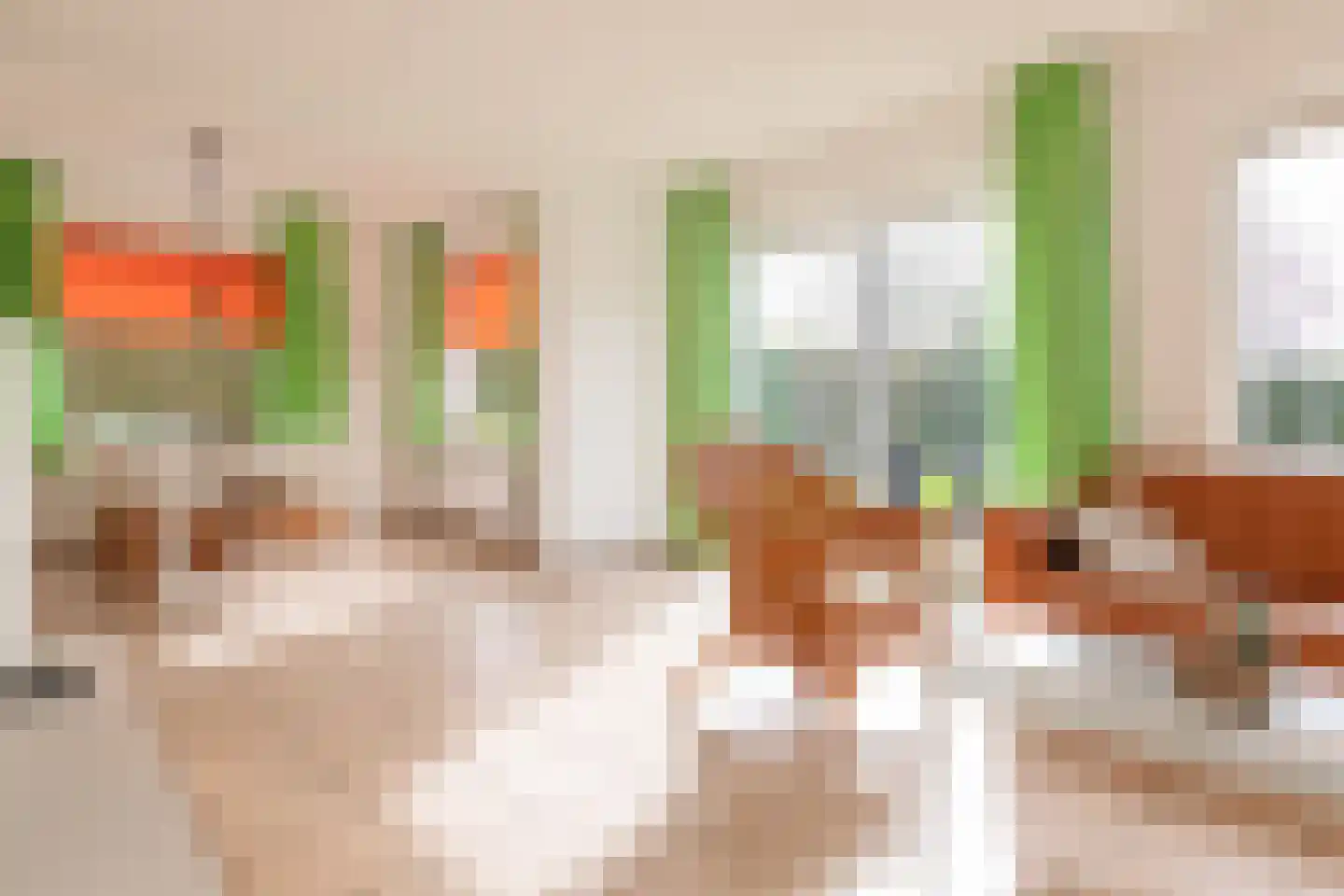 Crox Houcke 81 Nieuwvliet thumbnail 8