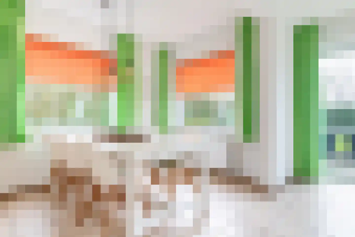 Crox Houcke 81 Nieuwvliet thumbnail 9