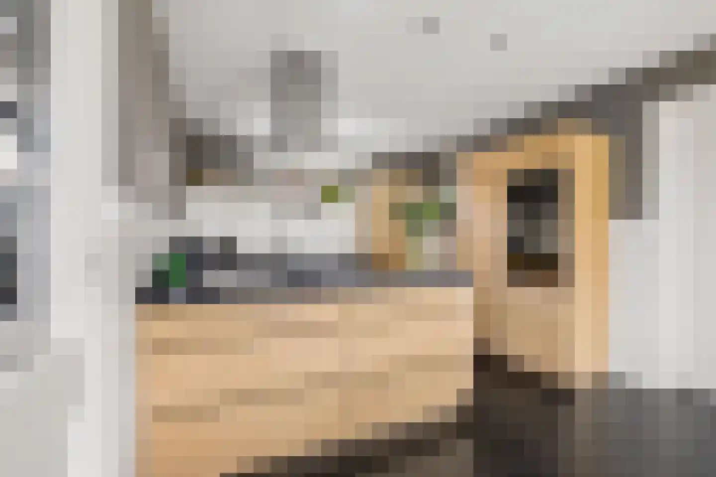 Cruijgenstraat 15 Erp thumbnail 16