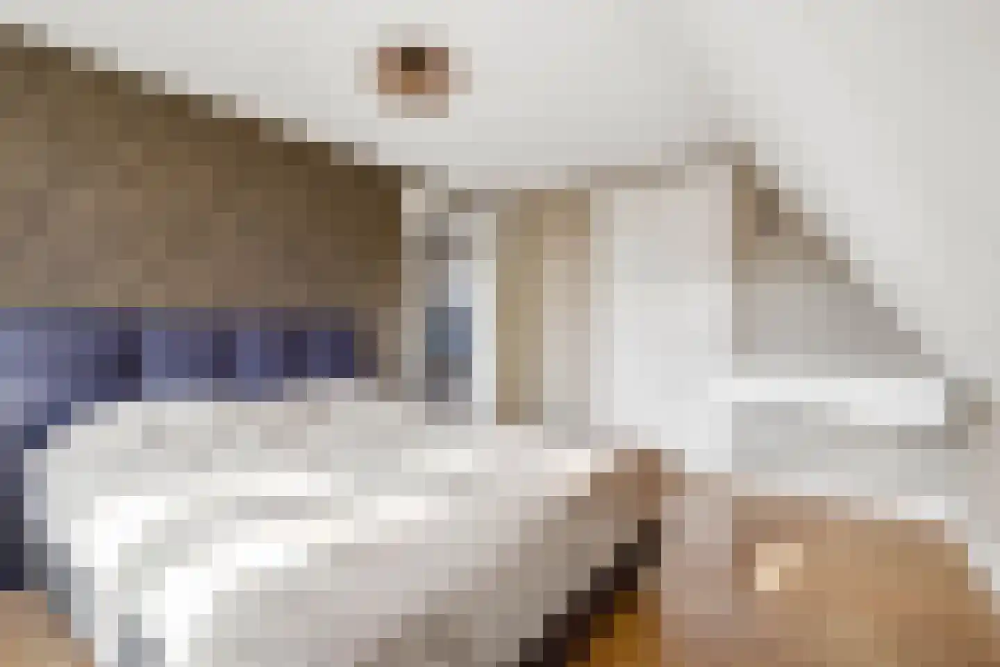 Cruijgenstraat 15 Erp thumbnail 25