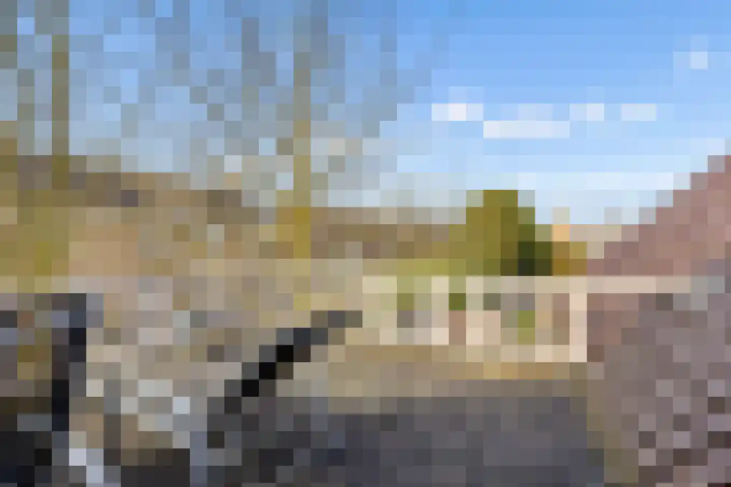 Cruijgenstraat 15 Erp thumbnail 36