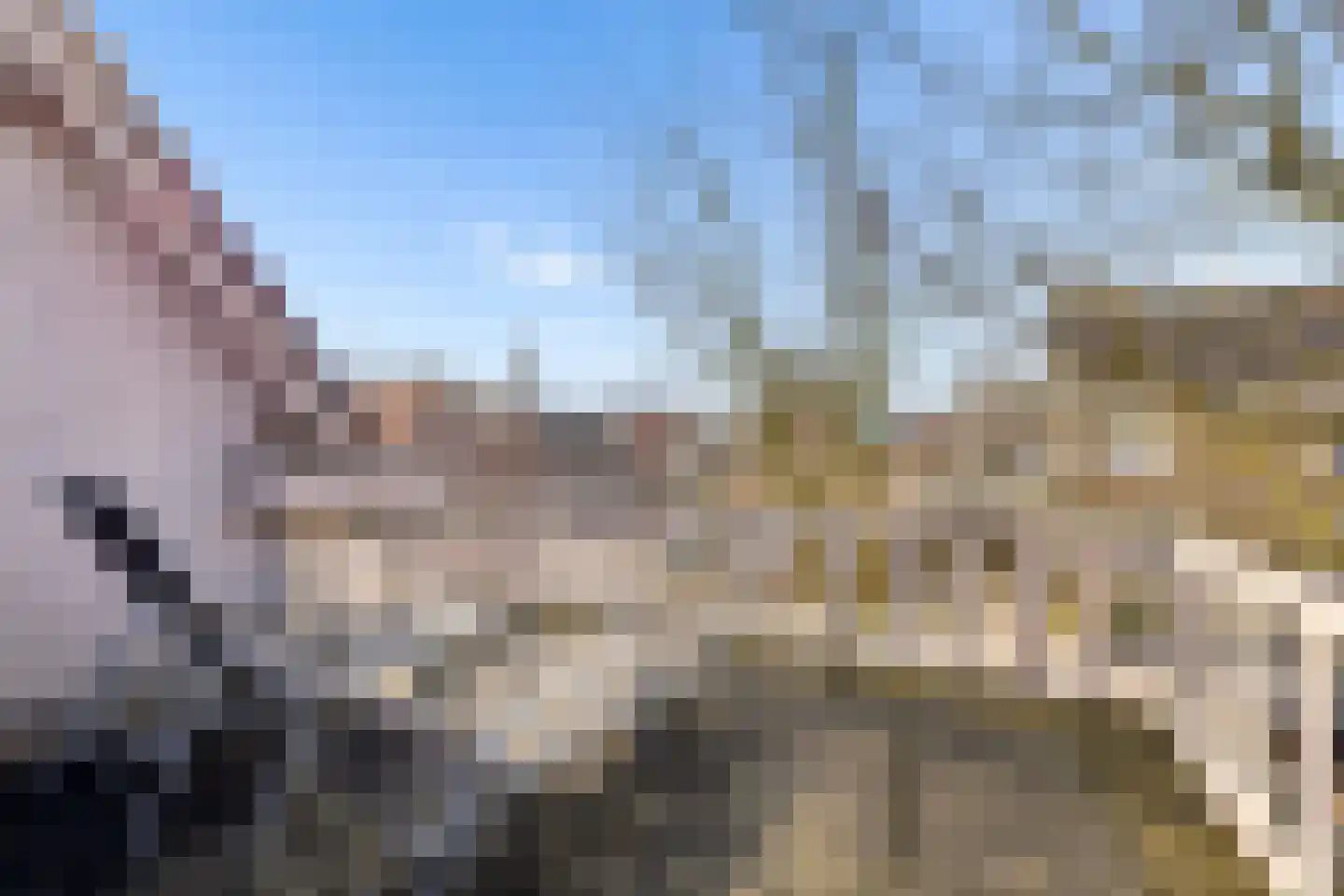 Cruijgenstraat 15 Erp thumbnail 37