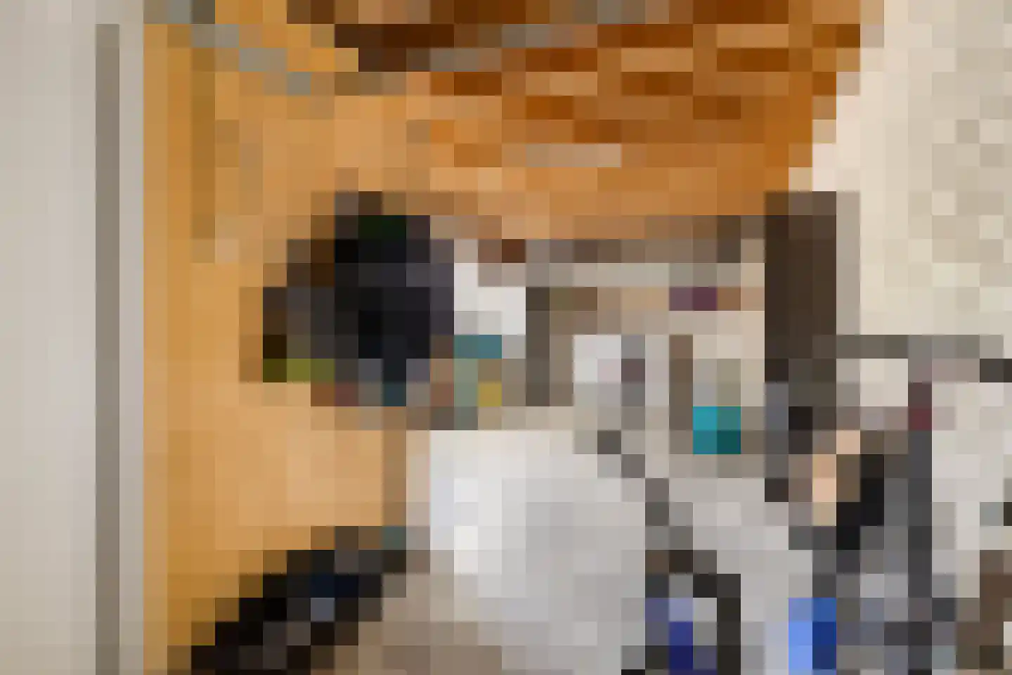 Cruijgenstraat 15 Erp thumbnail 40