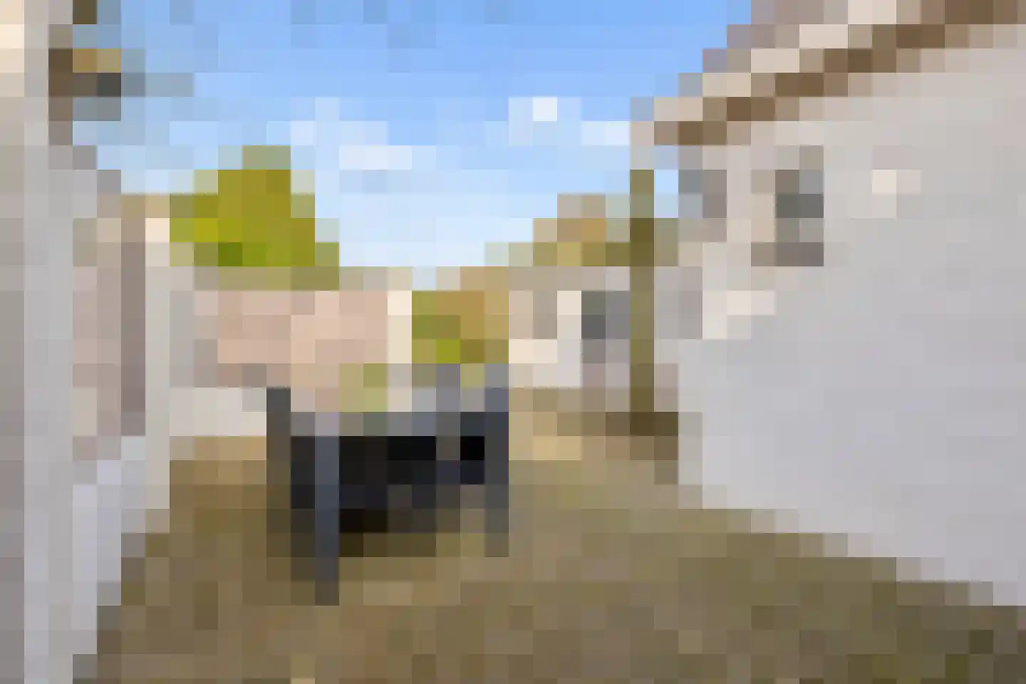 Cruijgenstraat 15 Erp thumbnail 41