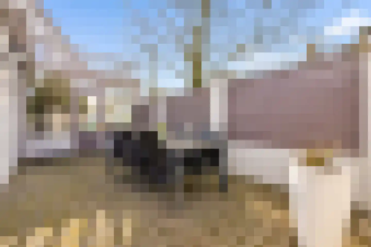 Cruijgenstraat 15 Erp thumbnail 43