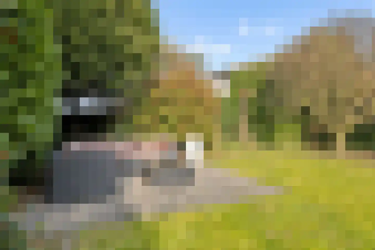 Cruijgenstraat 15 Erp thumbnail 46