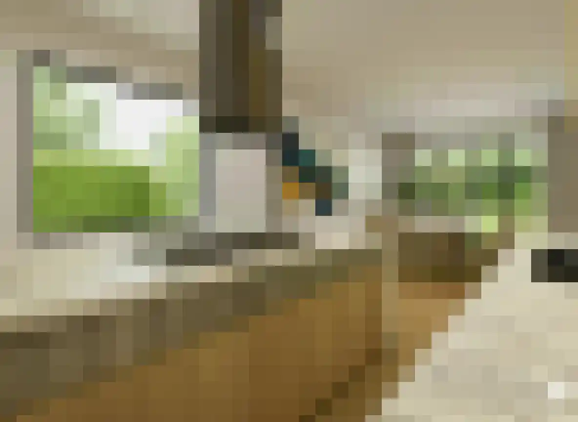 Cruijgenstraat 4 Erp thumbnail 13