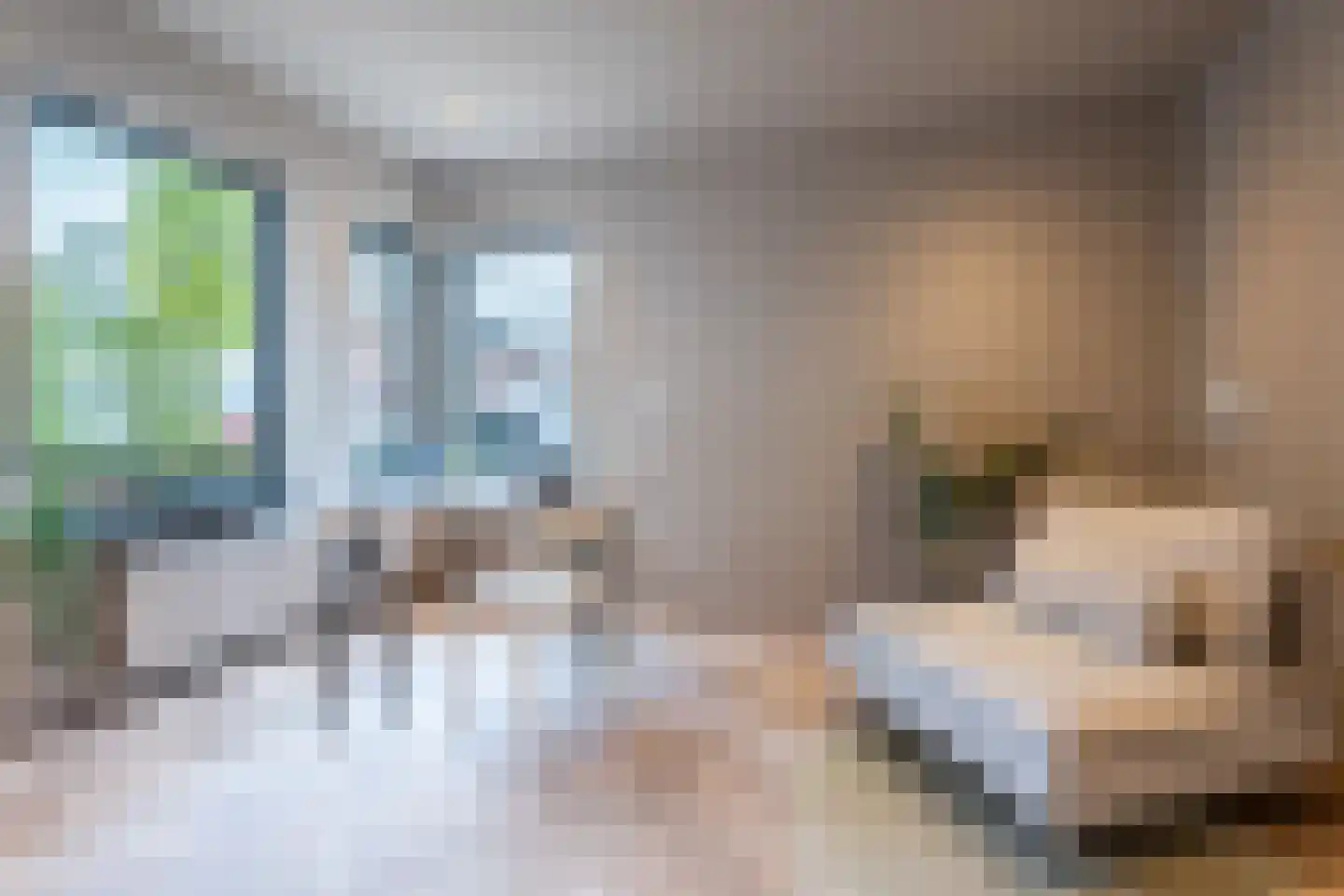 Cruijgenstraat 4 Erp thumbnail 17