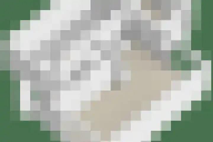 Cruijsberg 31 Heesch thumbnail 49
