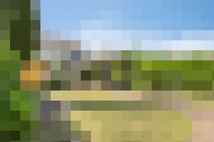 Cruijsberg 31 Heesch thumbnail 5