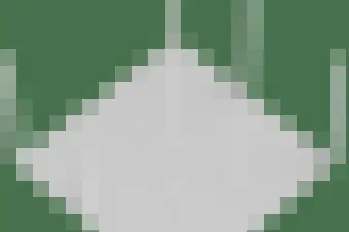 Cruijsberg 31 Heesch thumbnail 57