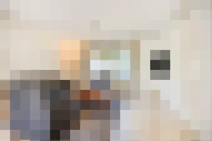 Cruijsberg 31 Heesch thumbnail 8