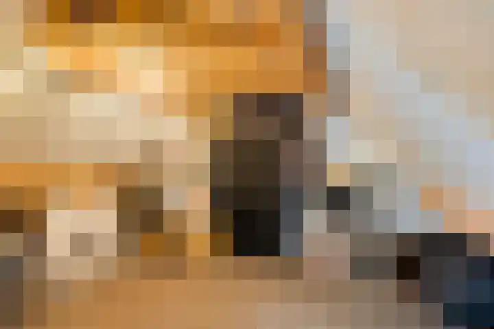 Cruijsberg 5 Heesch thumbnail 38