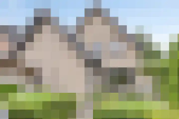 Cruijsberg 5 Heesch thumbnail 39