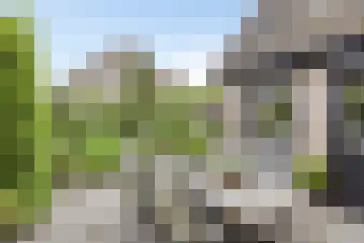Cruijsberg 5 Heesch thumbnail 40