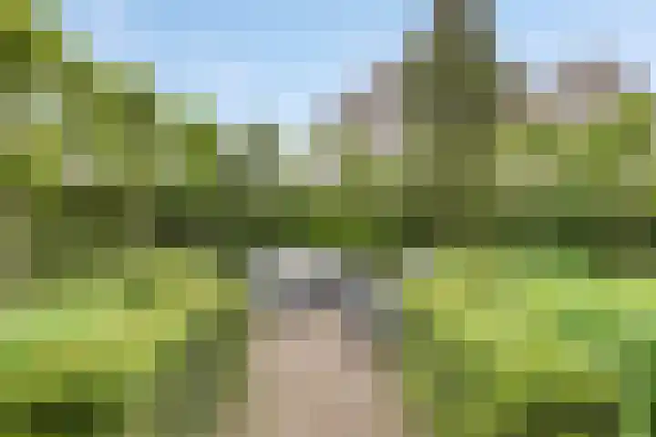 Cruijsberg 5 Heesch thumbnail 41