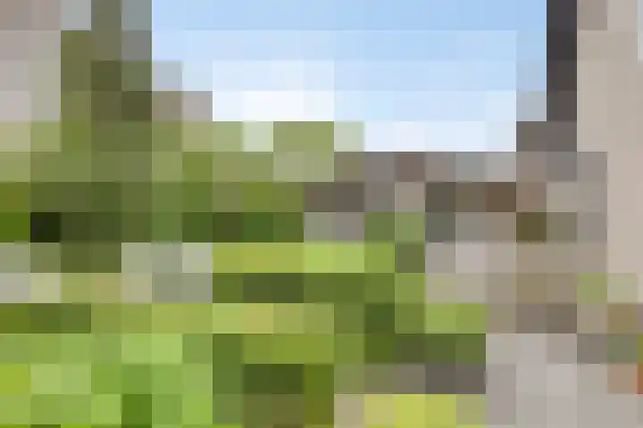 Cruijsberg 5 Heesch thumbnail 43