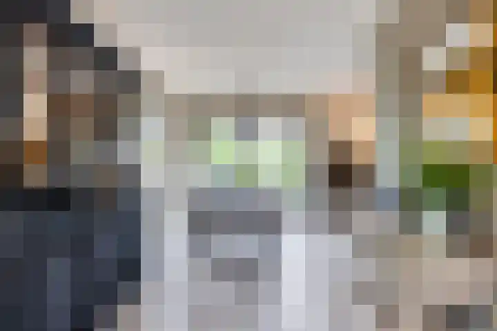 Cruijsberg 5 Heesch thumbnail 9