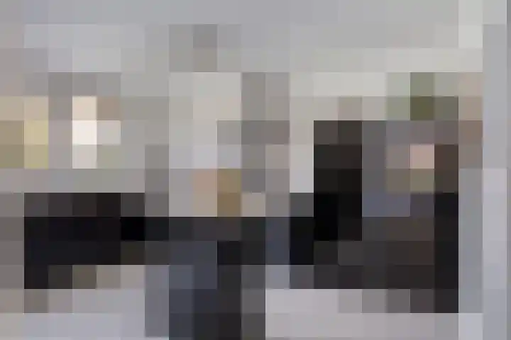 Cruijsberg 9 Heesch thumbnail 14