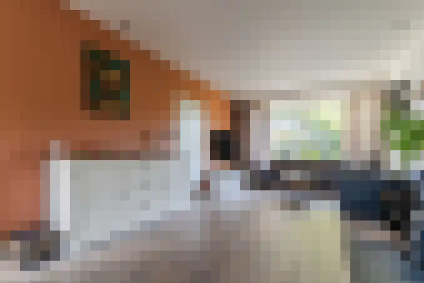 Cruijscamplaan 9 Heiloo thumbnail 11