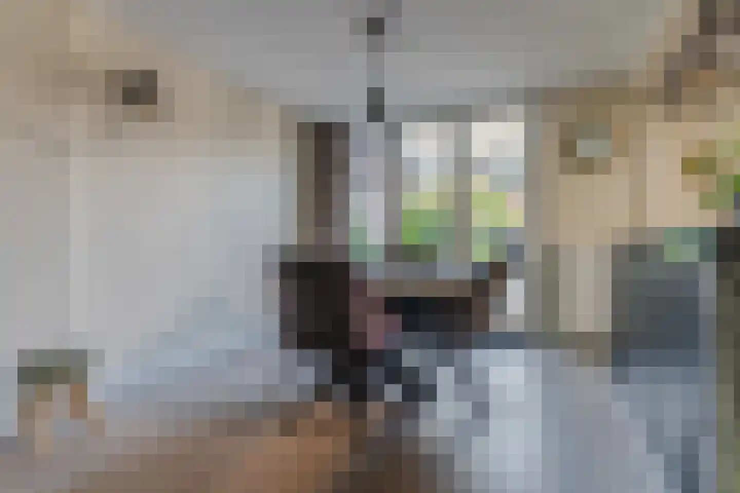 Cruijscamplaan 9 Heiloo thumbnail 14