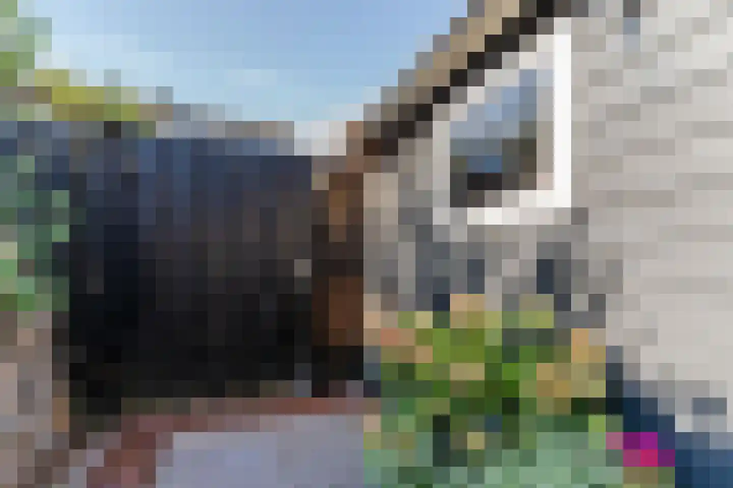 Cruijscamplaan 9 Heiloo thumbnail 51