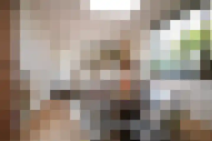 Cruisboomstraat 11 Geulle thumbnail 10