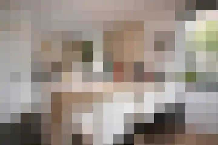 Cruisboomstraat 11 Geulle thumbnail 13