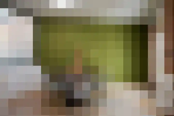 Cruisboomstraat 11 Geulle thumbnail 14
