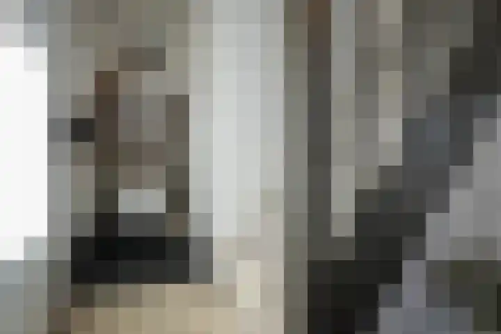 Cruisboomstraat 11 Geulle thumbnail 22