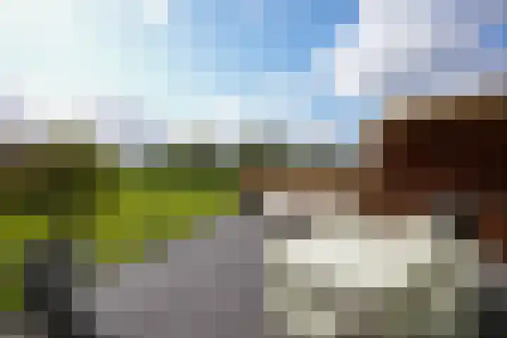 Cruisboomstraat 11 Geulle thumbnail 35